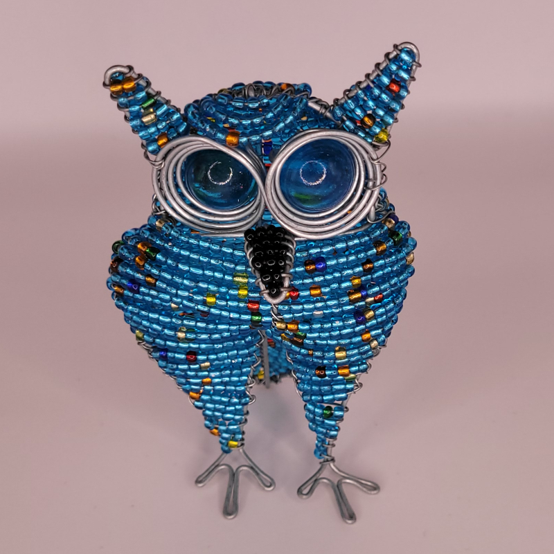 Owl Blue Front View
